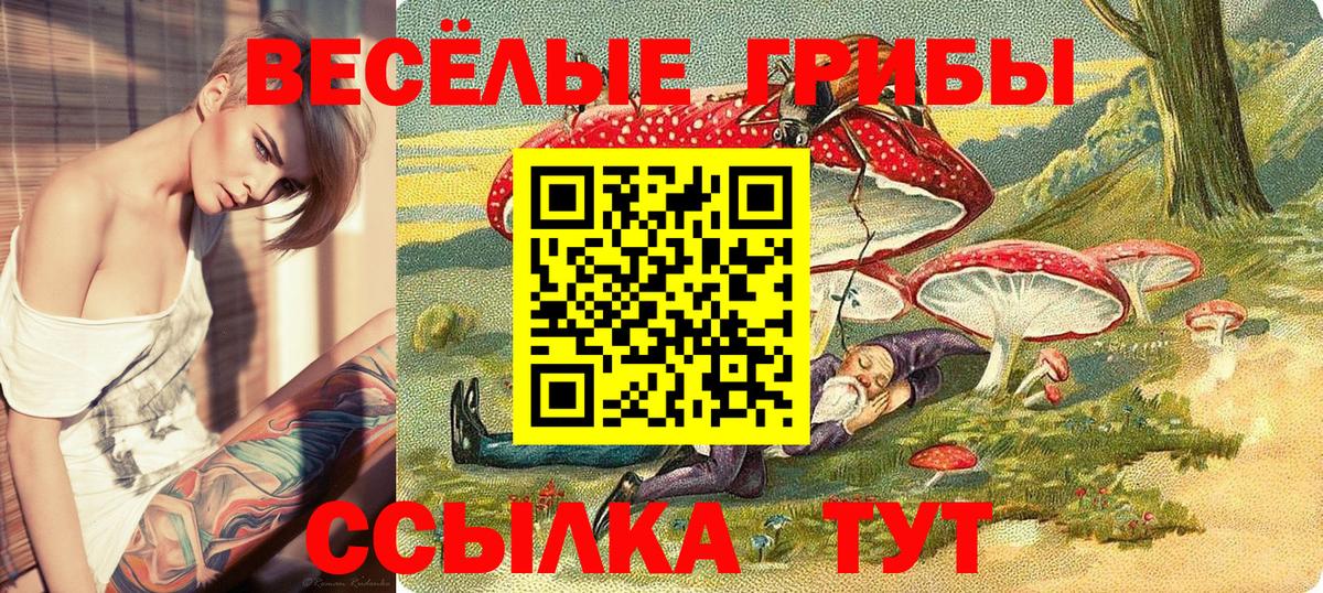 Таганрог  купить закладку  Вход с VPN  Псилоцибиновые грибы мицелий 